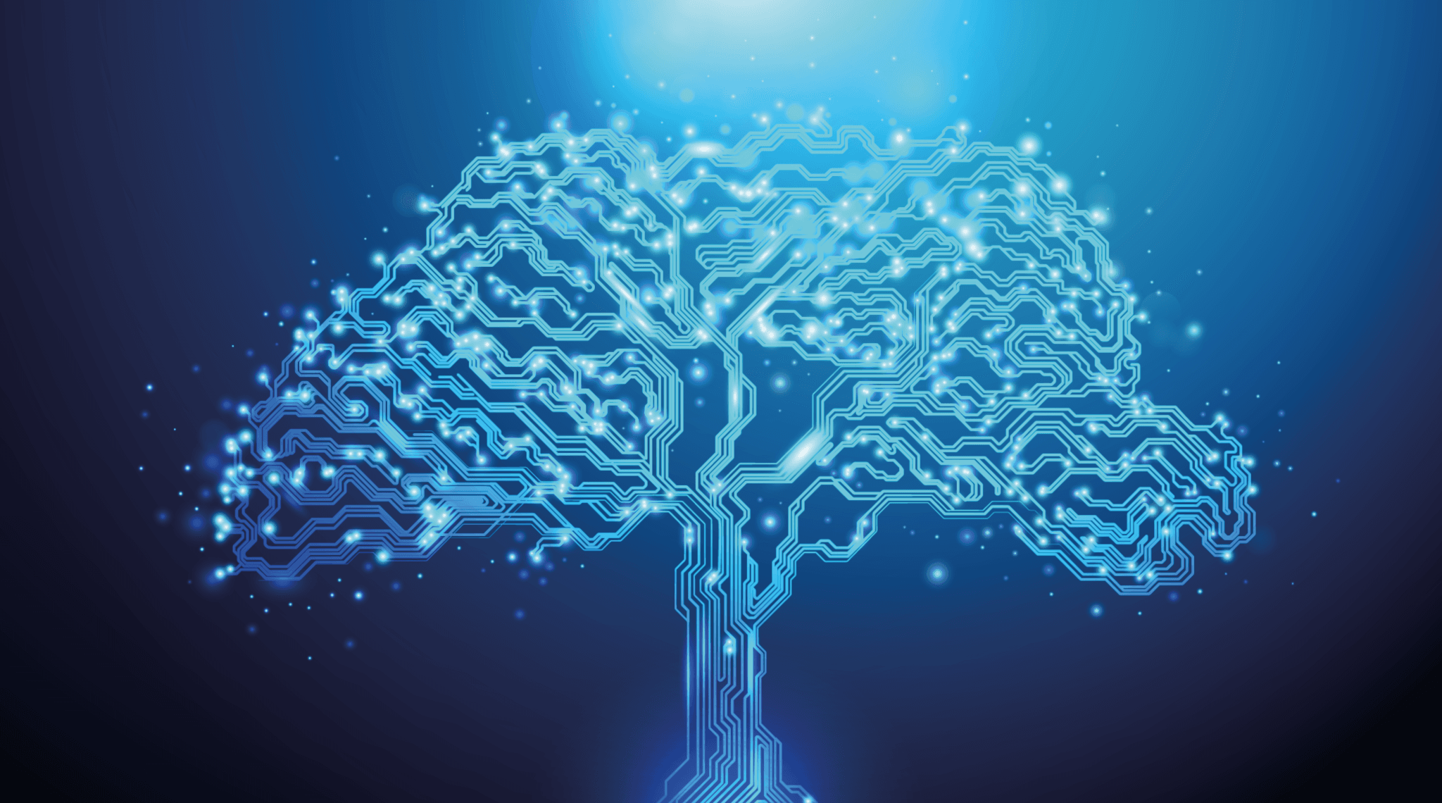 IT-Bestandsveräußerung